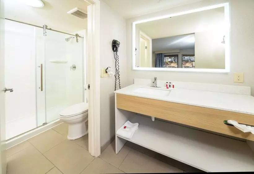 ホテル Days Inn By Wyndham Atlanta Stone Mountain