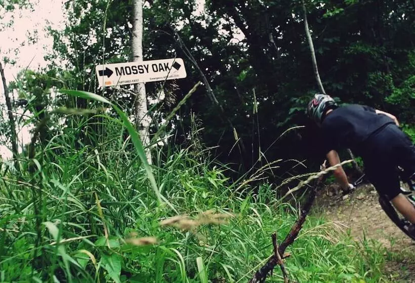 酒店 Devil S Head Resort