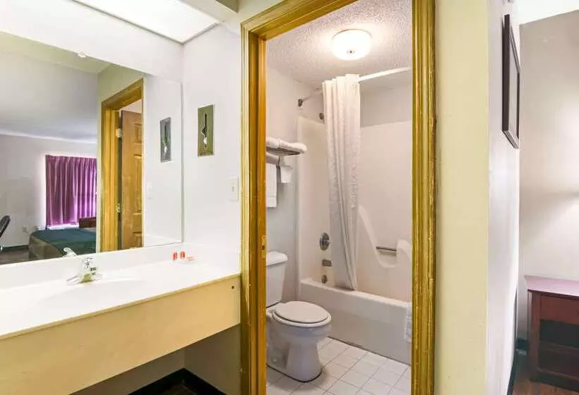 酒店 Econo Lodge   Conyers