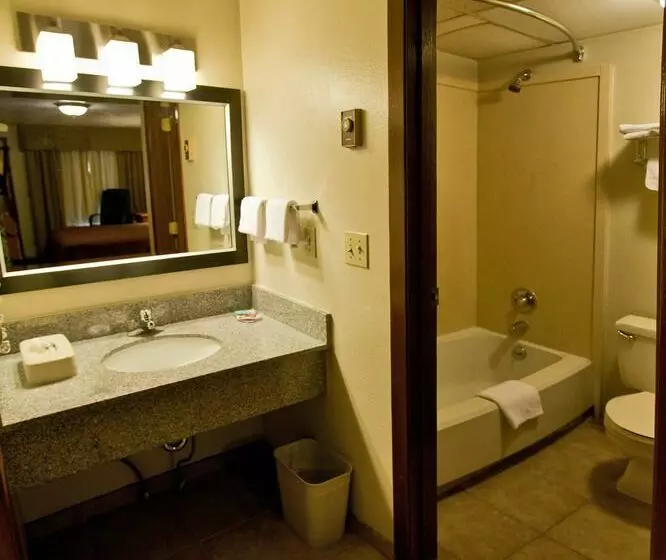 בית מלון כפרי Econo Lodge Downtown