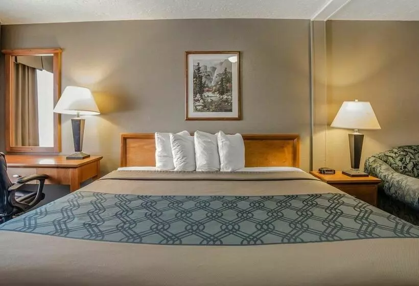 בית מלון כפרי Econo Lodge Downtown