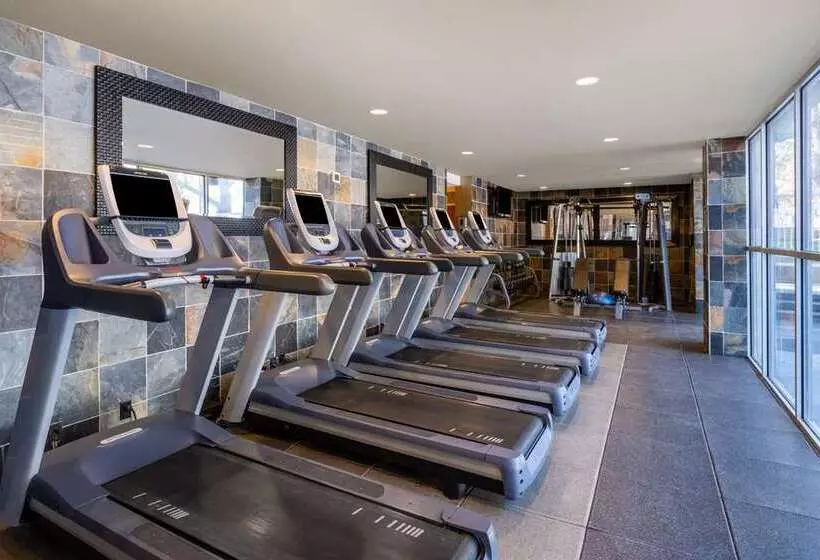 ホテル Hilton Dallas Lincoln Centre