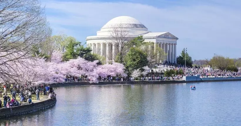 Hotel Holiday Inn Express Washington Dc Silver Spring, An Ihg