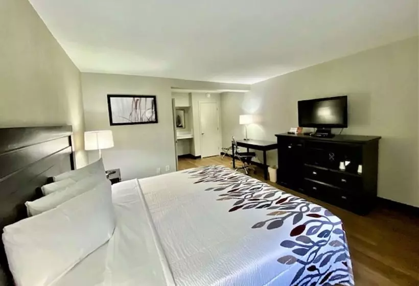 فندق Red Roof Inn Tucson Downtown  University