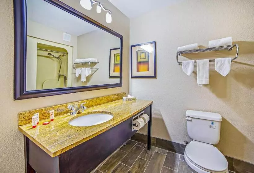 Отель Wingate By Wyndham Columbia/fort Jackson