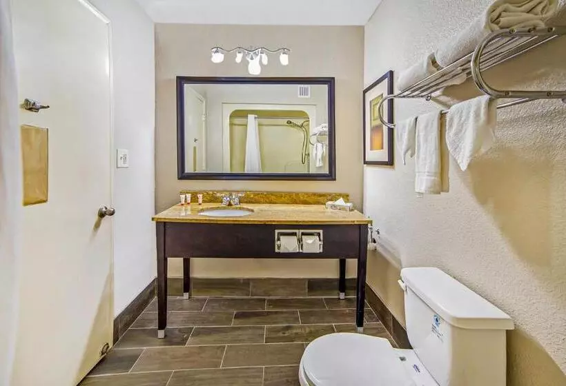 Отель Wingate By Wyndham Columbia/fort Jackson