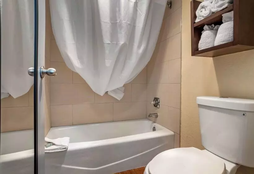 هتل Best Western Salisbury Plaza