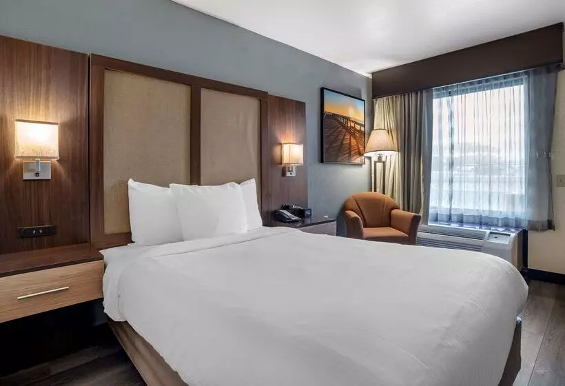 هتل Best Western Salisbury Plaza