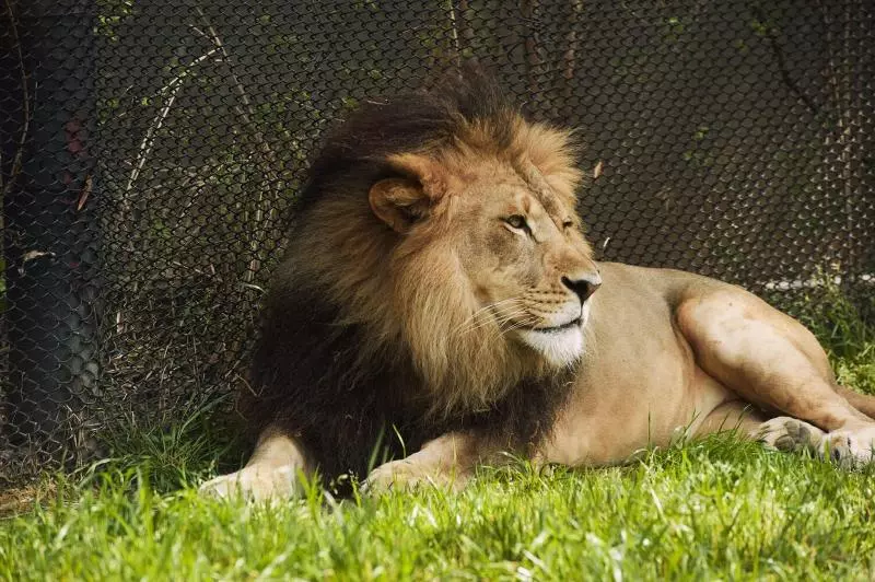 ホテル Four Points By Sheraton Little Rock Midtown