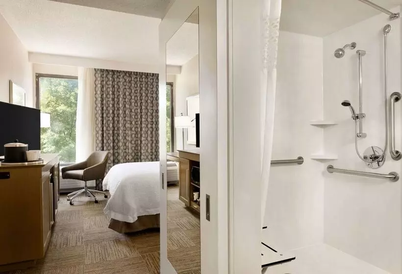 בית מלון כפרי Hampton Inn Atlantabuckhead