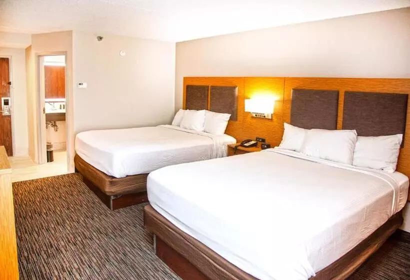 호텔 Mainstay Suites Springfield Il