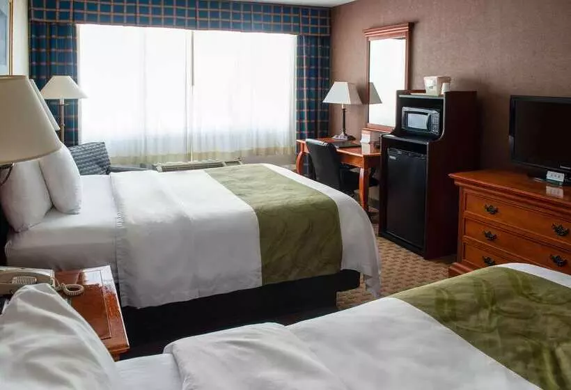 ホテル Quality Inn
