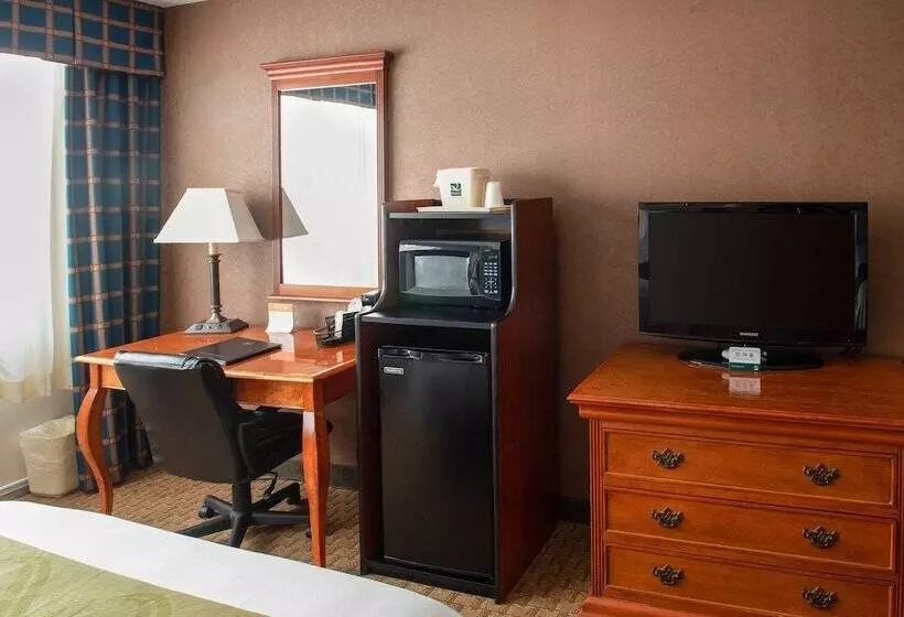 ホテル Quality Inn