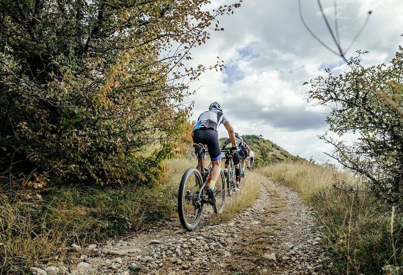 Resort Bluebird Cady Hill Lodge