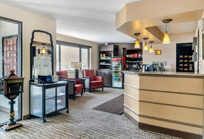 ホテル Comfort Inn