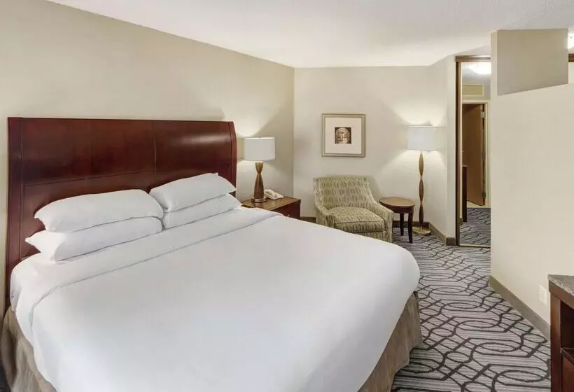 Doubletree By Hilton Hotel St. Paul Downtown