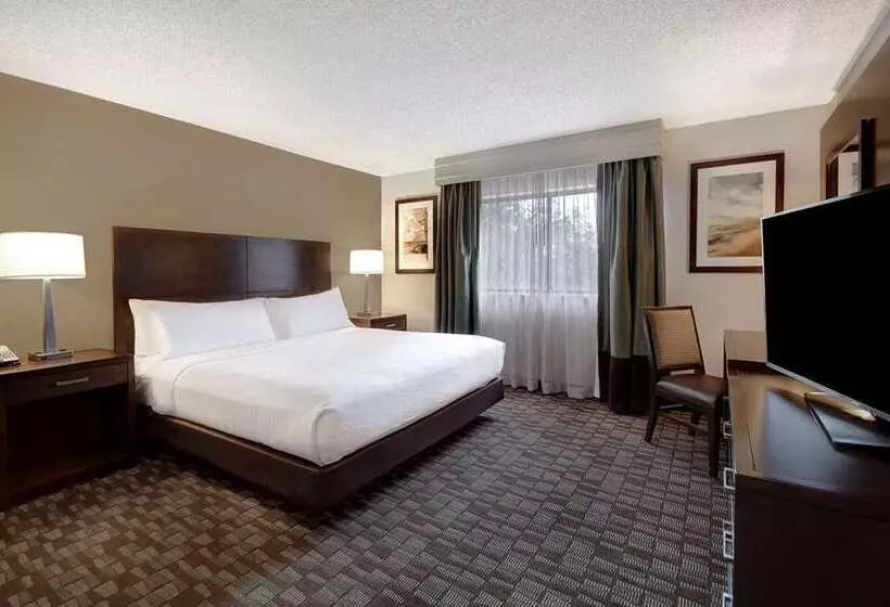 ホテル Embassy Suites By Hilton Jacksonville Baymeadows