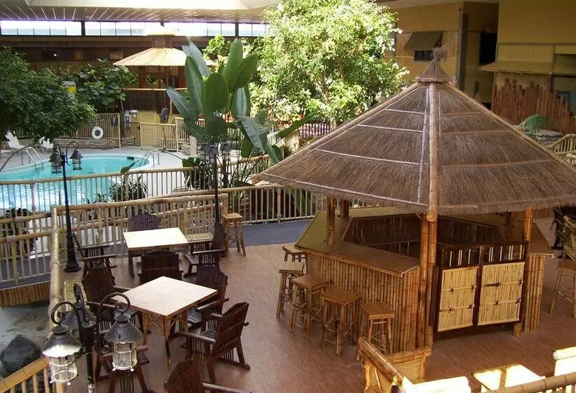 ホテル Holiday Inn Rolling Mdws-Schaumburg Area