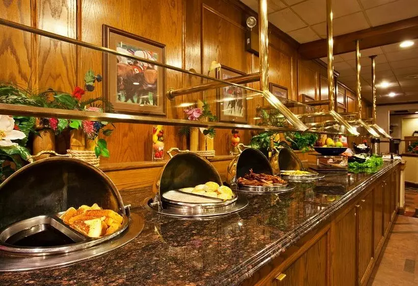 ホテル Holiday Inn Rolling Mdws-Schaumburg Area