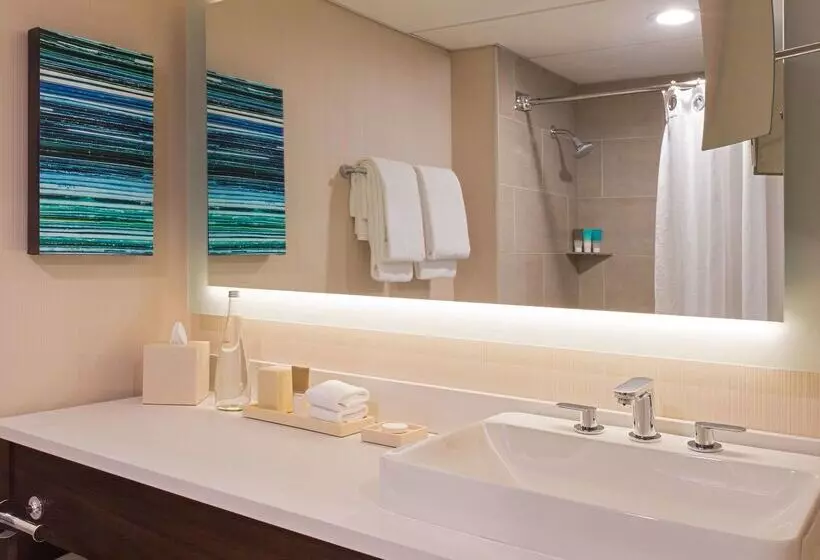 Hôtel Hyatt Regency Austin