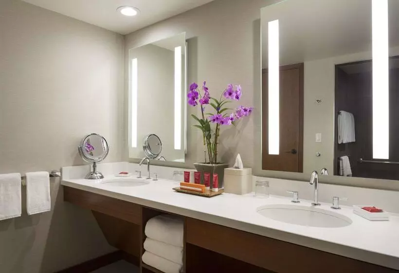 Hotel Hyatt Regency Maui Resort & Spa