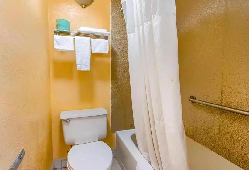 Hotel M Morgantown   Wvu Area