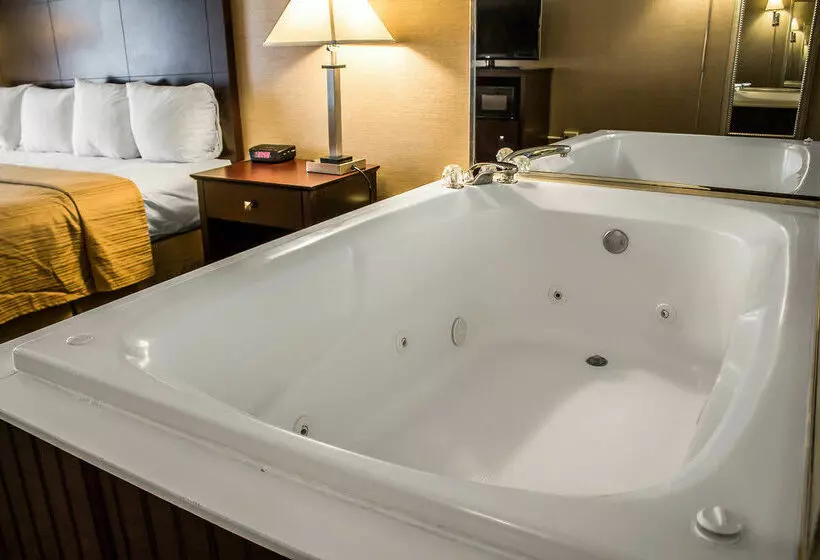 Отель Quality Inn & Conference Center