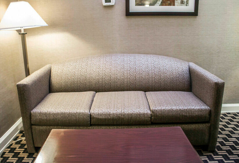 هتل Quality Inn & Conference Center