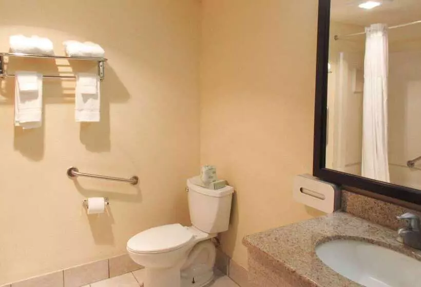 فندق Quality Inn & Suites