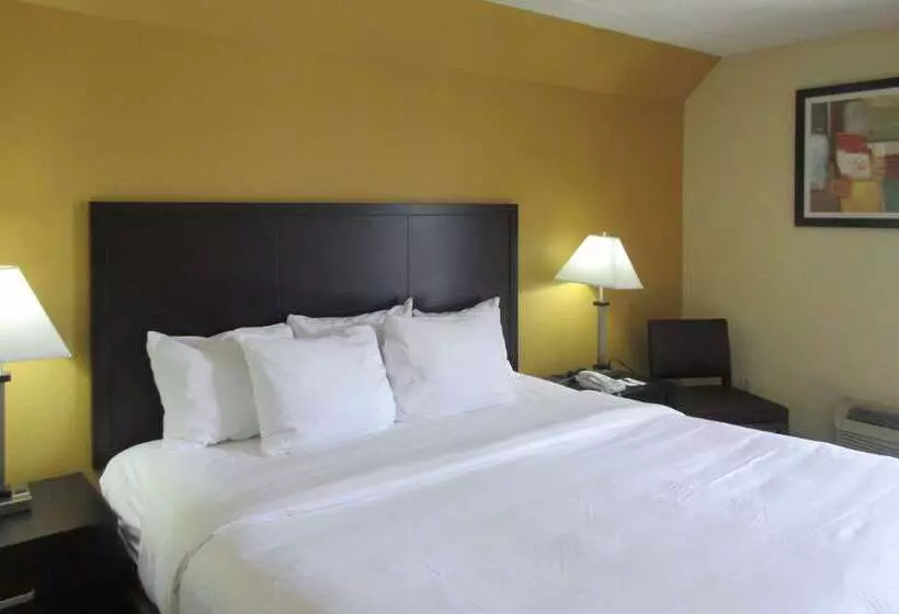 فندق Quality Inn & Suites