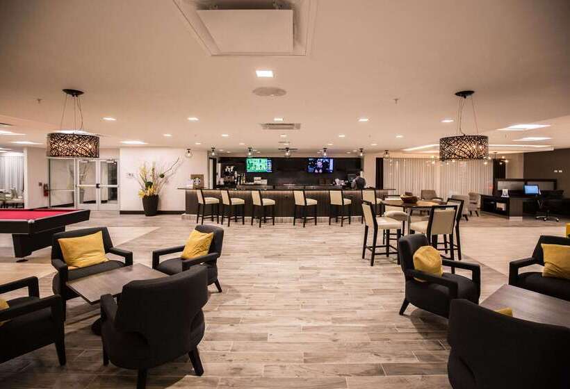 فندق Wyndham Chicago O'Hare