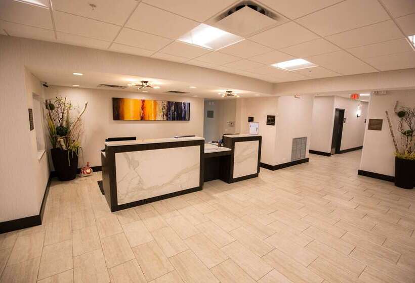 فندق Wyndham Chicago O'Hare