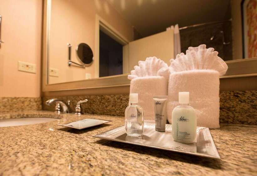 فندق Wyndham Chicago O'Hare