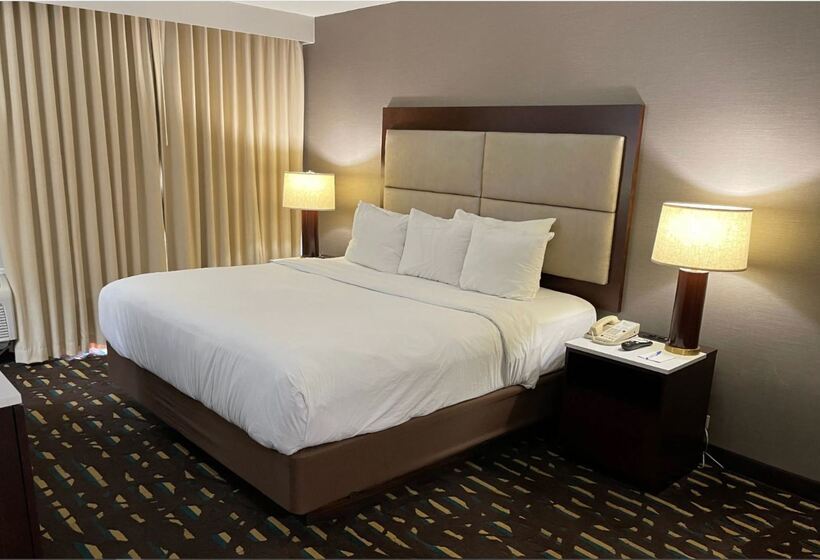 فندق Wyndham Chicago O'Hare