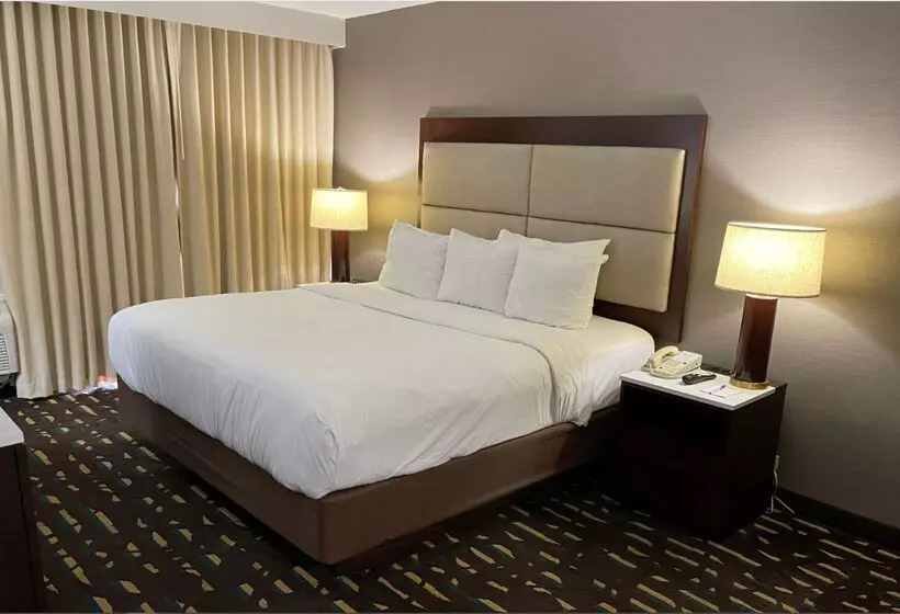 Otel Wyndham Chicago O'Hare