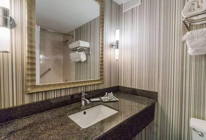 فندق Wyndham Garden Norfolk Downtown