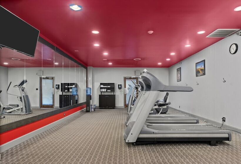 فندق Wyndham Garden Norfolk Downtown