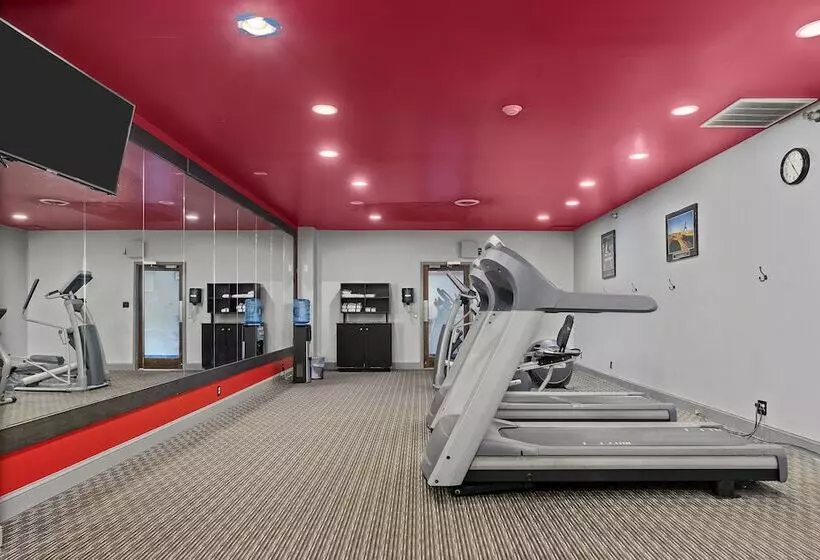 فندق Wyndham Garden Norfolk Downtown