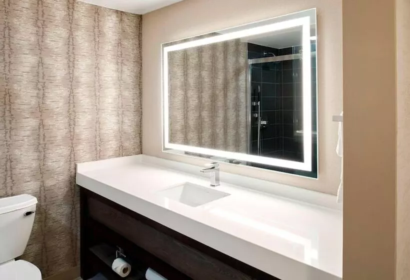 هتل Chattanooga Marriott Downtown