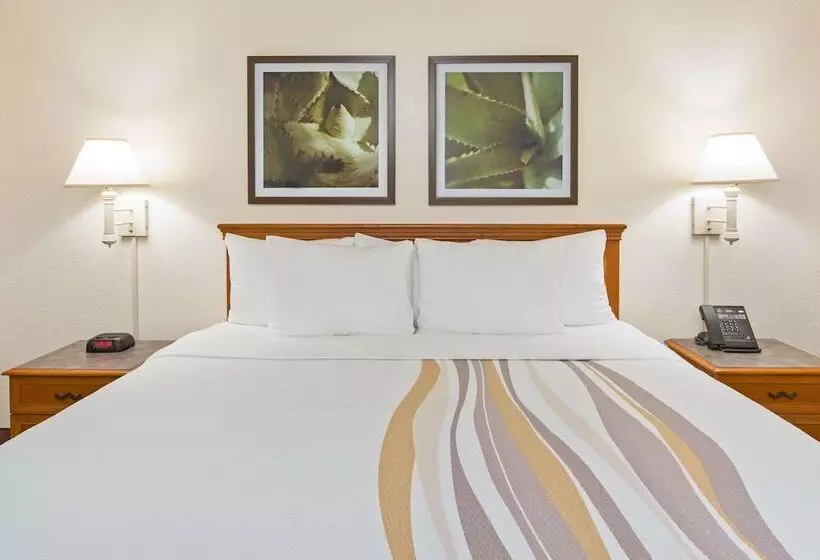 Hotelli La Quinta Inn By Wyndham San Diego  Miramar