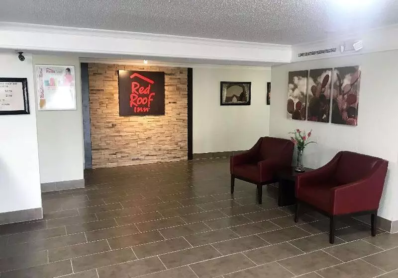 酒店 Red Roof Inn Houston North Fm1960 & I 45