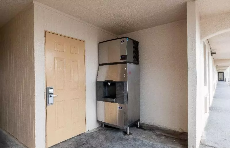 酒店 Red Roof Inn Houston North Fm1960 & I 45