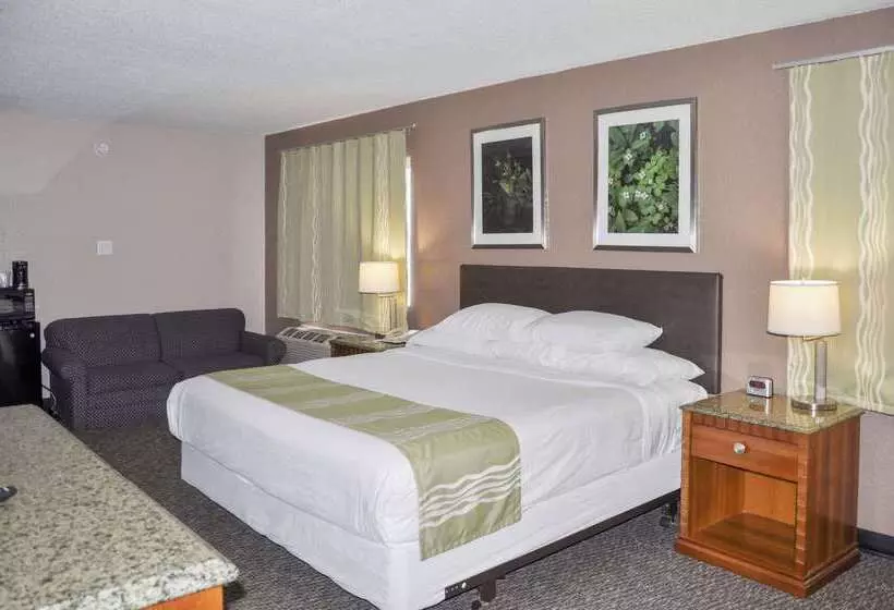 Otel Bison Inn & Suites On University