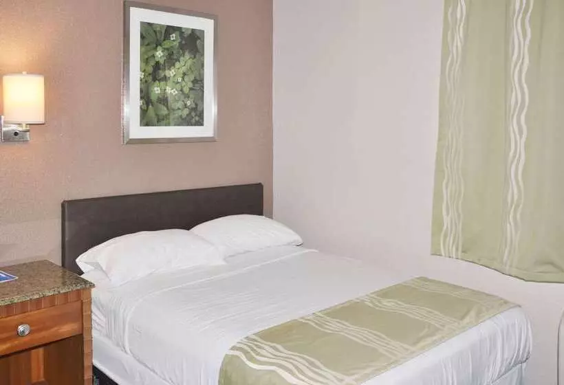 Otel Bison Inn & Suites On University