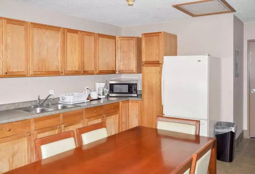 Otel Bison Inn & Suites On University