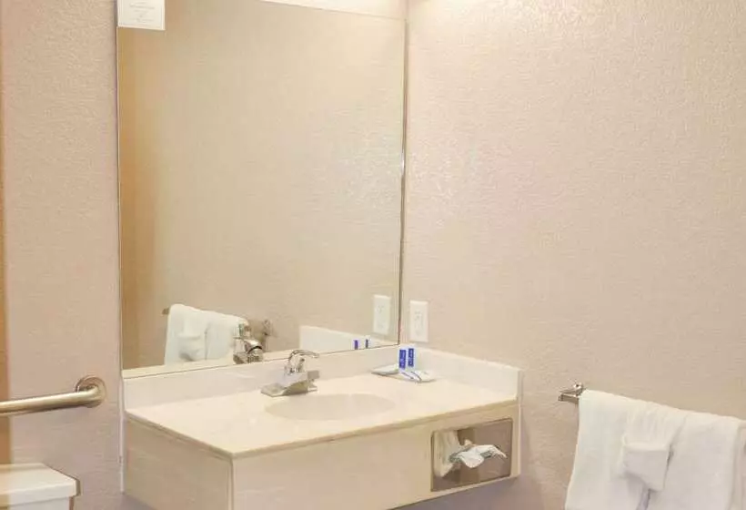 בית מלון כפרי Bison Inn & Suites On University