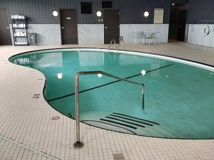 Otel Bison Inn & Suites On University