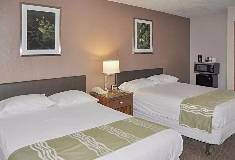 Otel Bison Inn & Suites On University