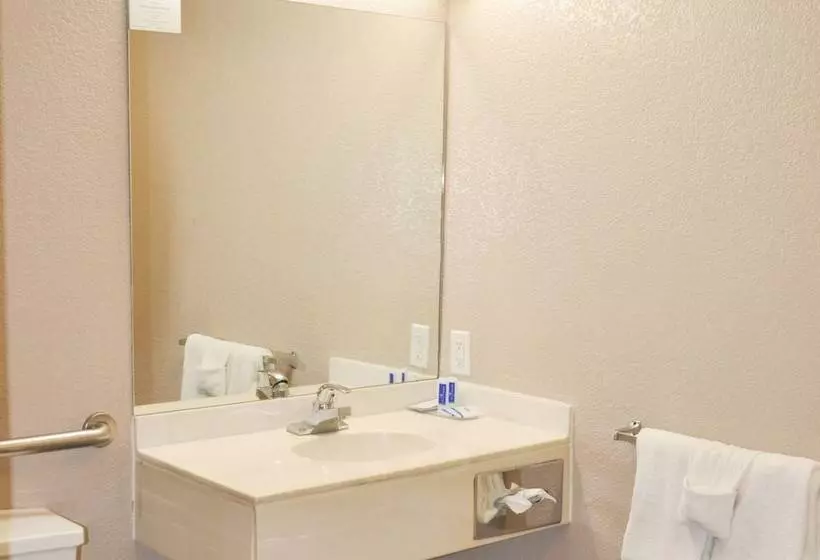 Otel Bison Inn & Suites On University