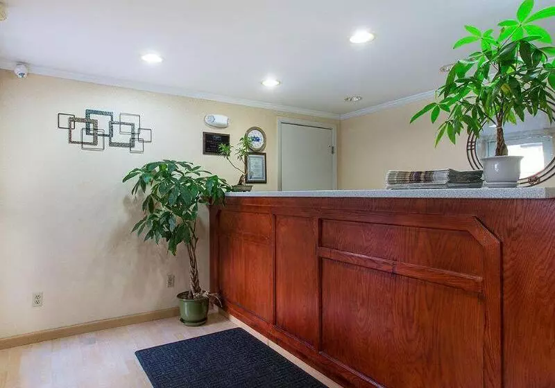 酒店 Soma Park Inn